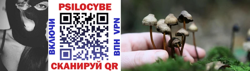 Галлюциногенные грибы Psilocybe  даркнет наркотические препараты  Усмань 